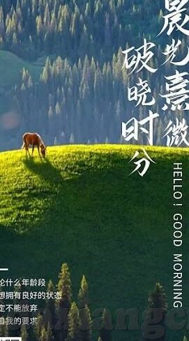 2015最新福利伦理-2015年，最新福利政策下的伦理考量