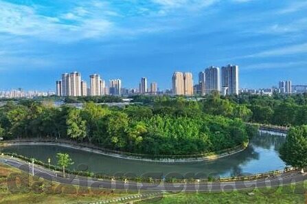 2022果冻传媒软件-2022年果冻传媒软件，重塑数字娱乐的创意力量
