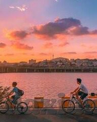麻豆av导航入口-麻豆AV导航入口，多元化娱乐平台的潜在风险与谨慎性探索