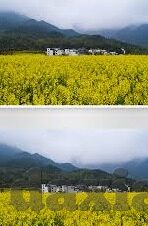 麻豆传媒怎么下载app-镇定网络，理解并远离不实消息