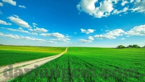 麻豆视传媒精品av-麻豆视传媒精品AV的创意与洞察，艺术释放的视听觉盛宴